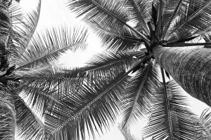 Cabana Custom Art