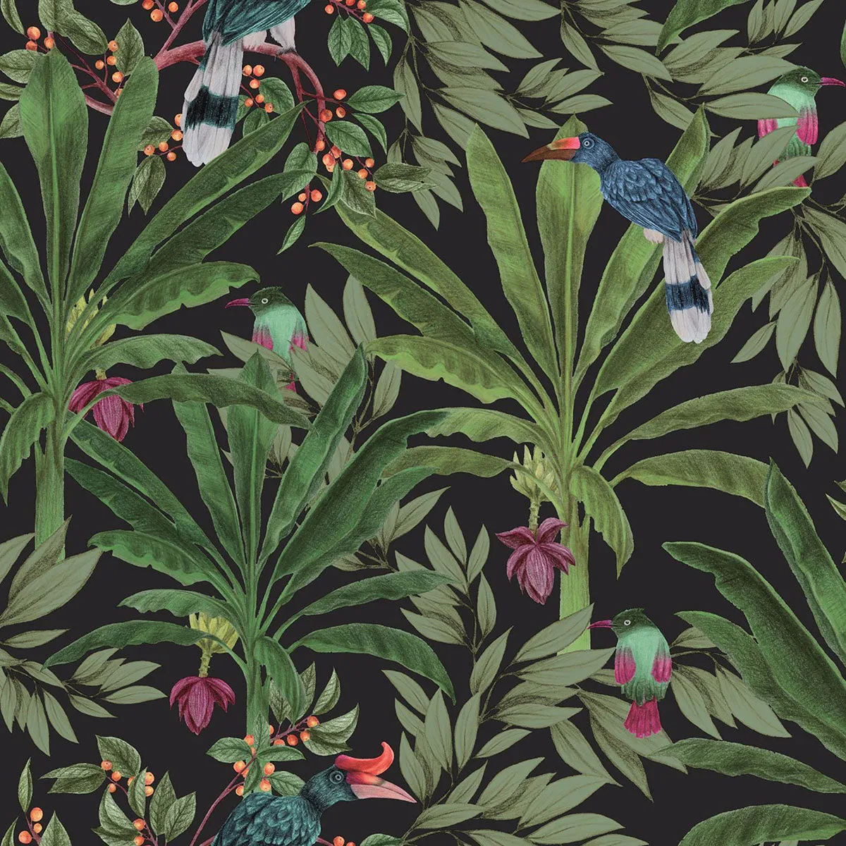Carola Black Jungle Tropics Wallpaper from Design Department by Brewster