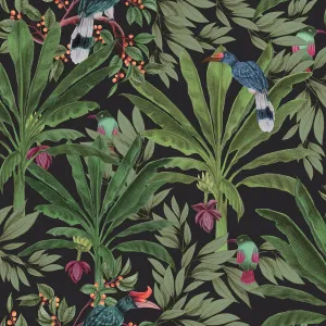 Carola Black Jungle Tropics Wallpaper from Design Department by Brewster