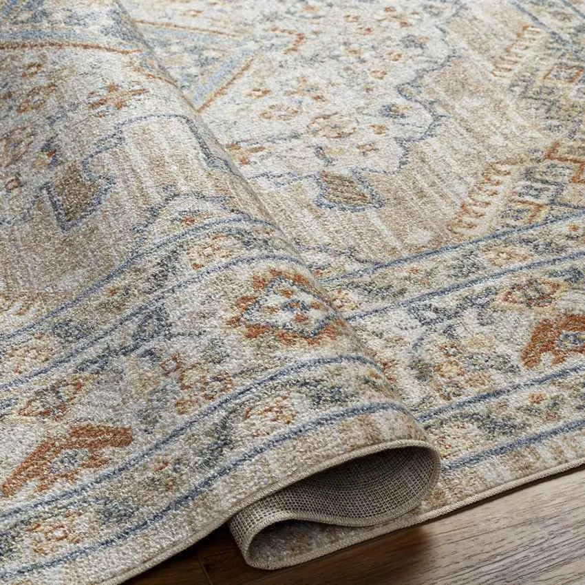 Ellinwood 2x3 Traditional Orange Area Rug Carpet for Living Room Bedroom or Kitchen (2' x 2'11")