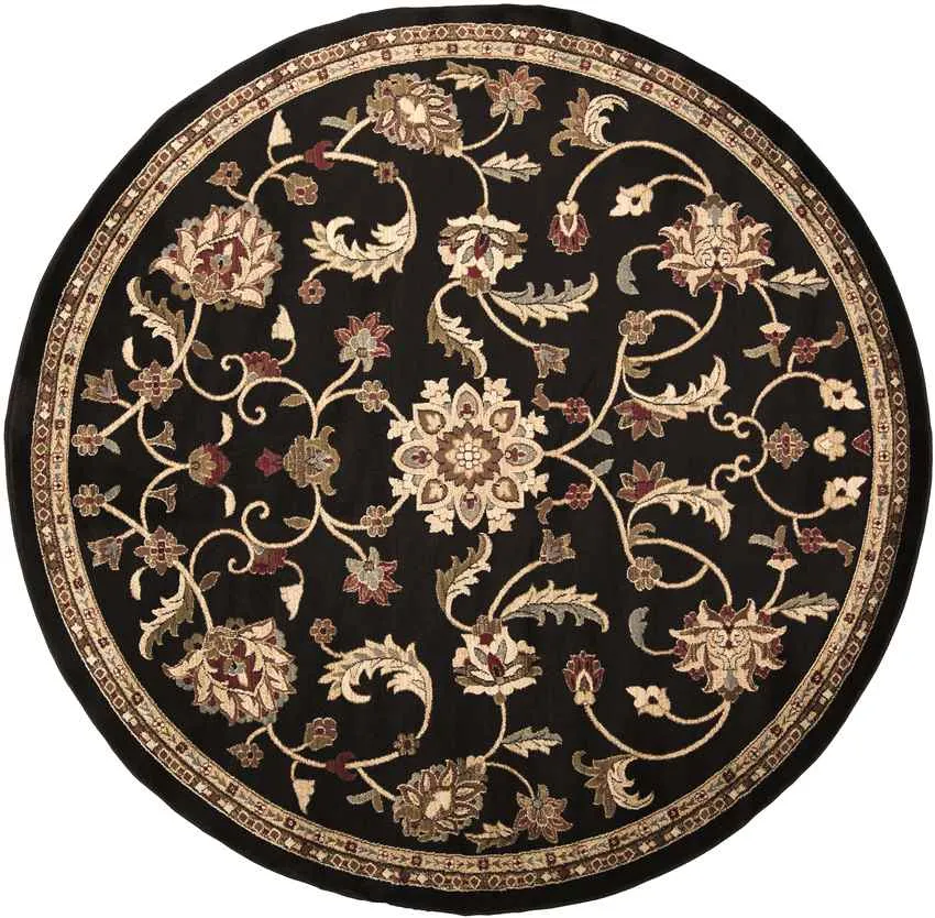 George Traditional Area Rug Carpet for Living Room Bedroom or Kitchen