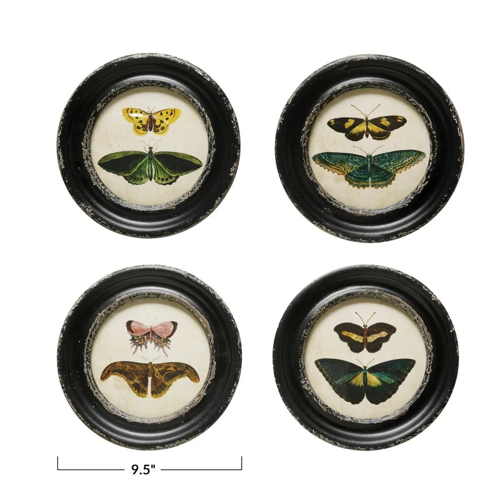 Moths & Butterfly Prints