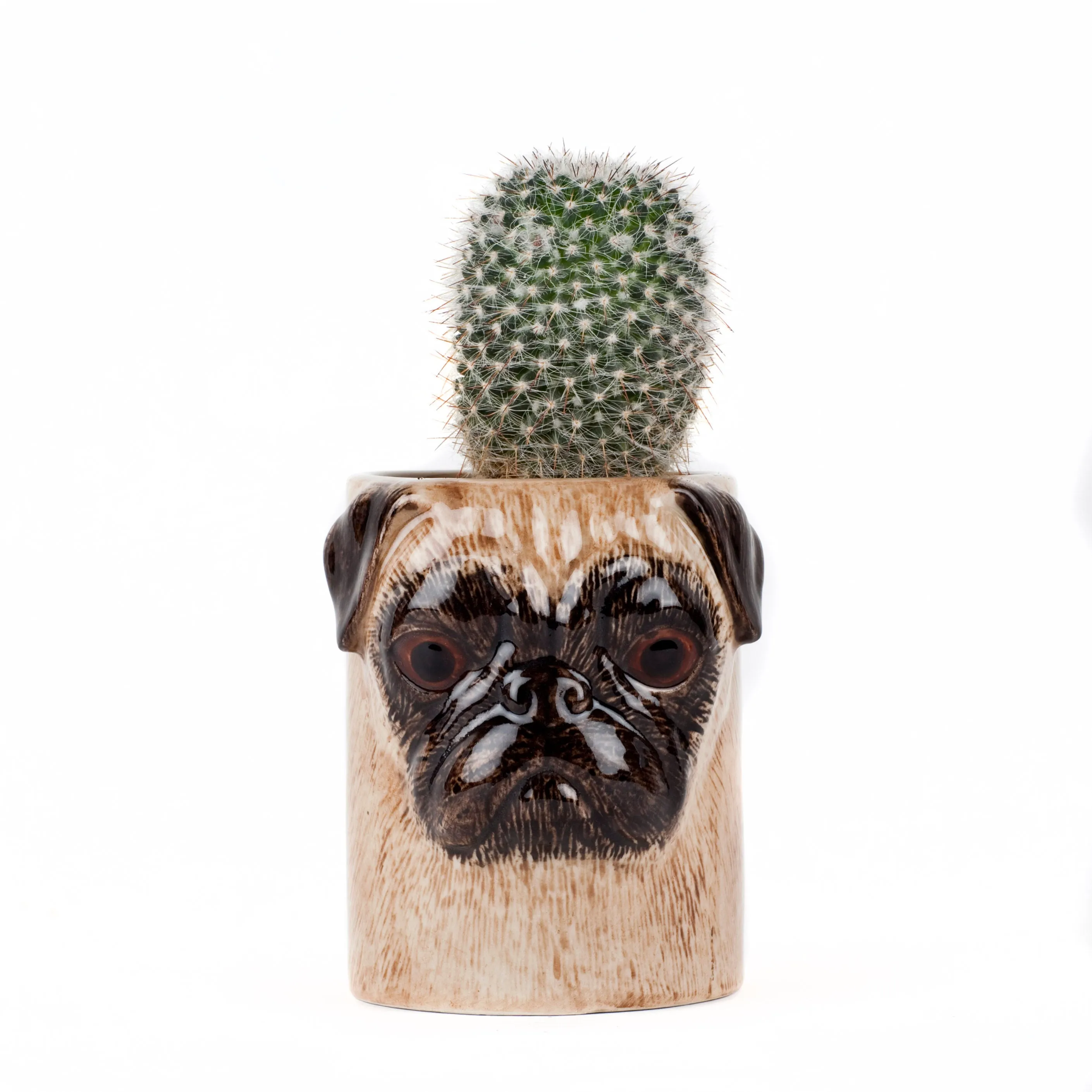 Pug Pencil Pot by Quail Ceramics
