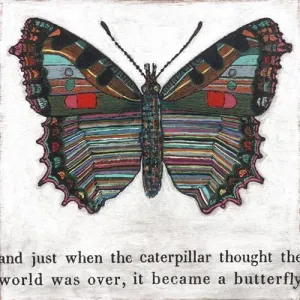 Sugarboo Designs Butterfly Small Print