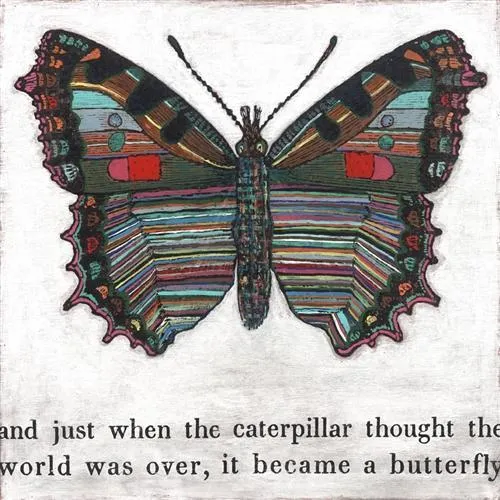Sugarboo Designs Butterfly Small Print