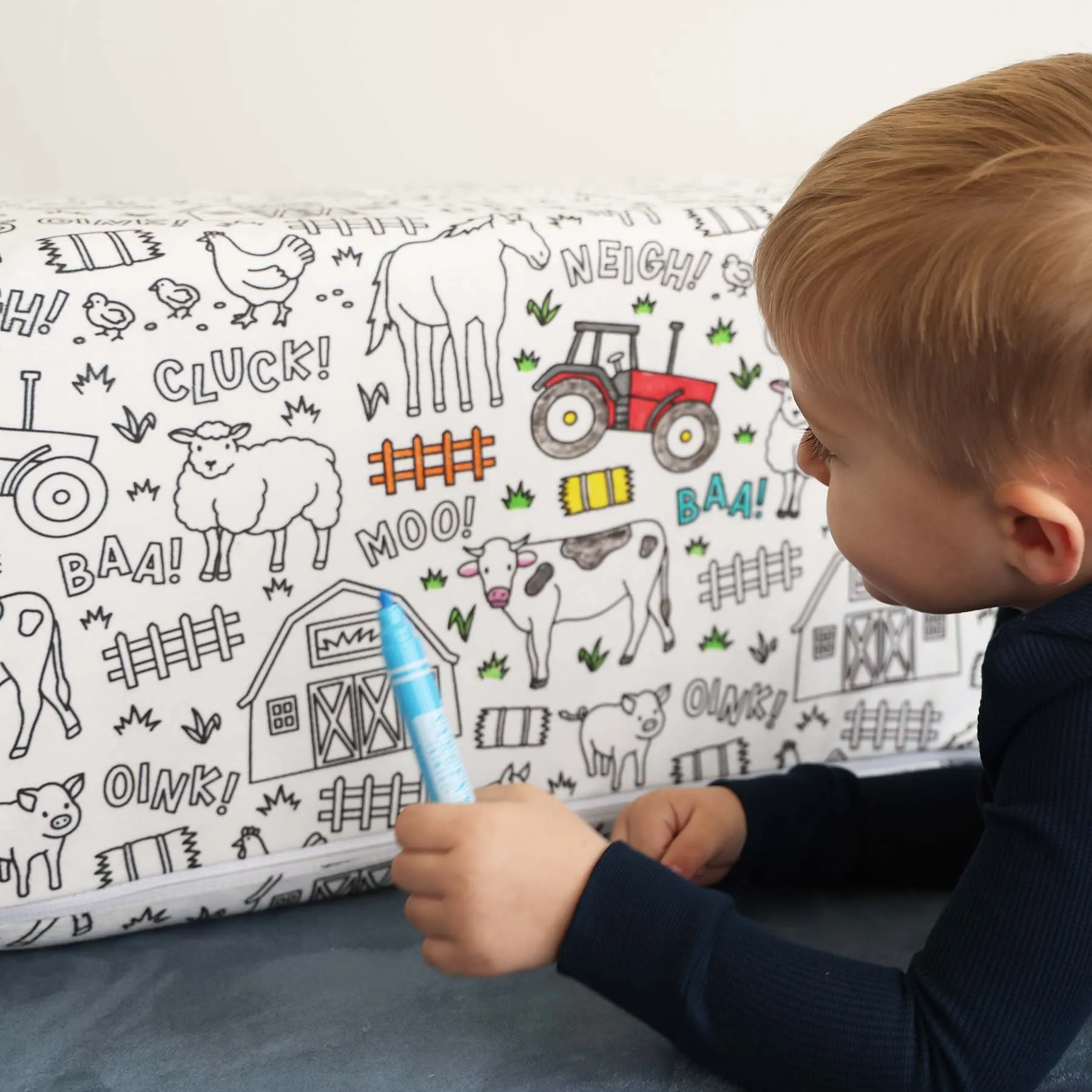 The Figgy Rectangle Pillow Pack (2 PC) X Caden Lane