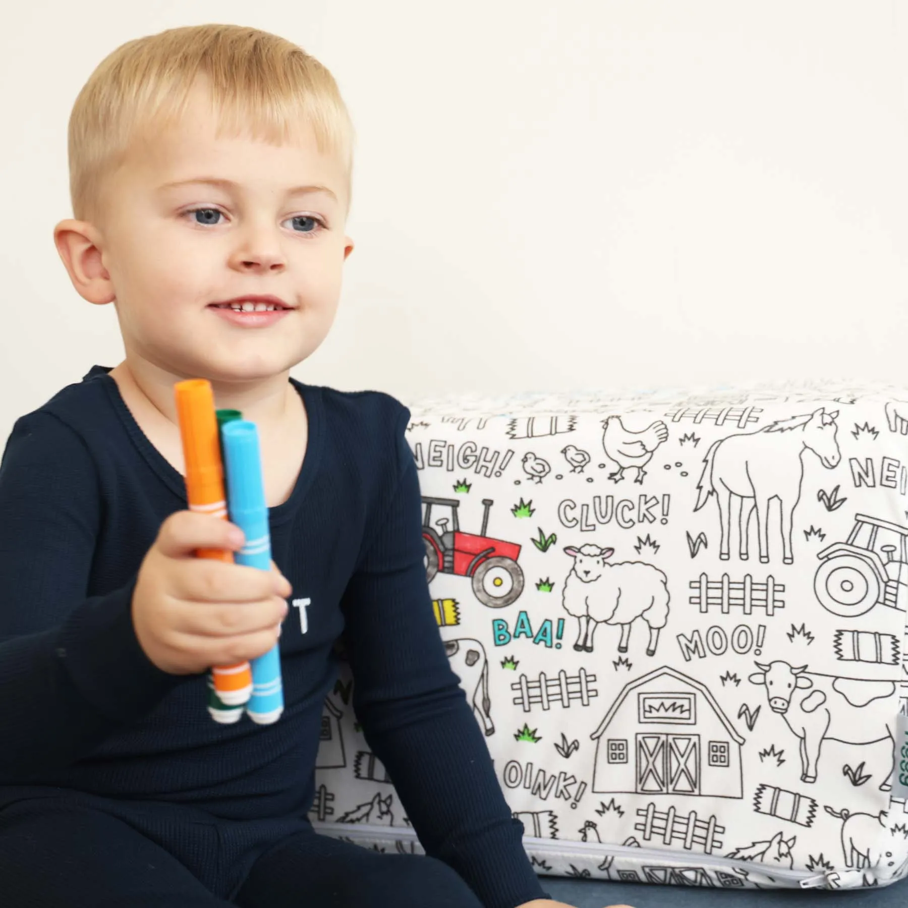 The Figgy Rectangle Pillow Pack (2 PC) X Caden Lane