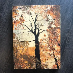 Wooden Wall Prints, Fall Forest - Resurfaced